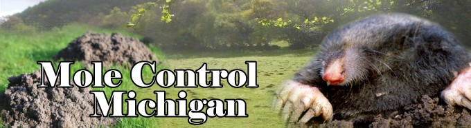 lawn mole control services in metro detroit or southeast michigan